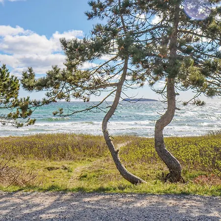 Holiday home Pet Friendly In With Sauna *