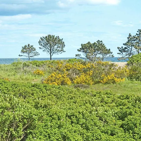 Pet Friendly In With Sauna Holiday home Ebeltoft